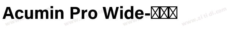 Acumin Pro Wide字体转换